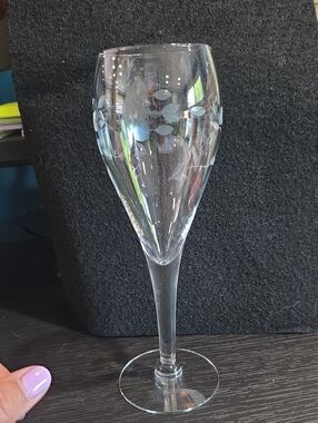 Princess House Heritage champagne glass.